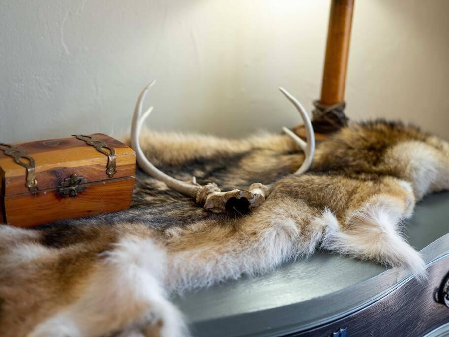 Stonegate Lodge Bear'S Den Kitchen, Pool, Firepit, Wifi ,Smart Tvs Eureka Springs Luaran gambar